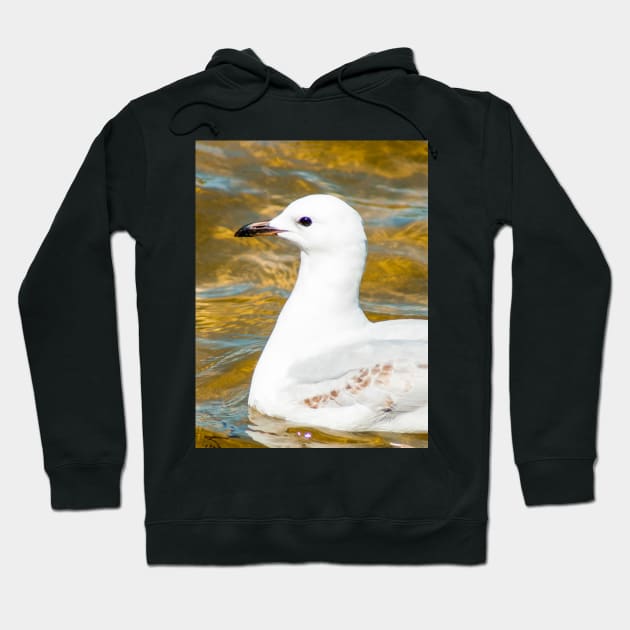 Silver Gull Hoodie by Upbeat Traveler